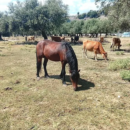 Shpella E Pirateve Lukovë